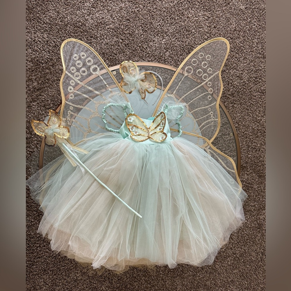 Pottery Barn Kids Butterfly Fairy Costume